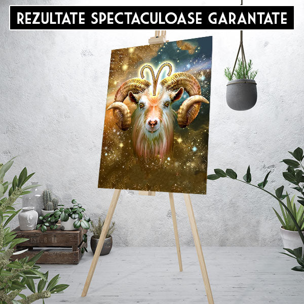 Kit Pictura Pe Numere Zodiac 