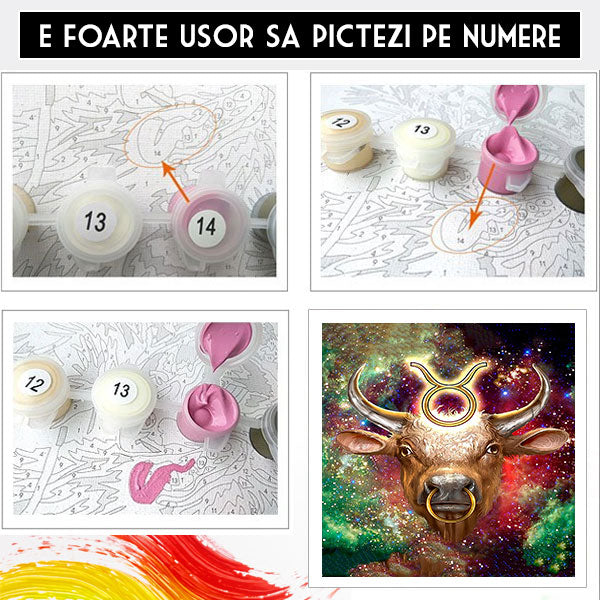 Kit  Pe Numere Zodiac 