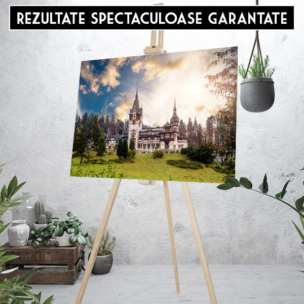Pictura pe Numere - Castelul Peles