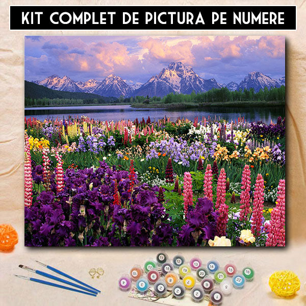 Kit Pictura pe Numere - Mireasma diminetii