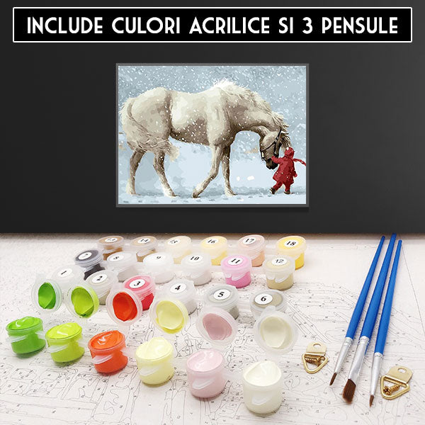 Kit Pictura pe Numere