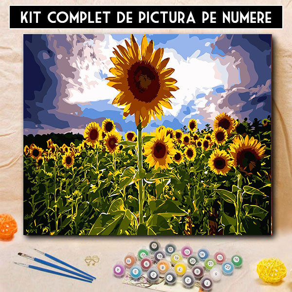 Kit Pictura Pe Numere - Florile luminii