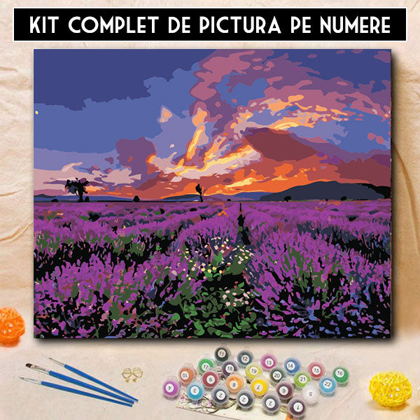 Kit Pictura Pe Numere - Infinit violet