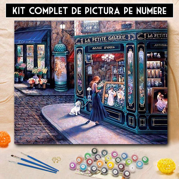 Kit pictura pe numere - Boutique