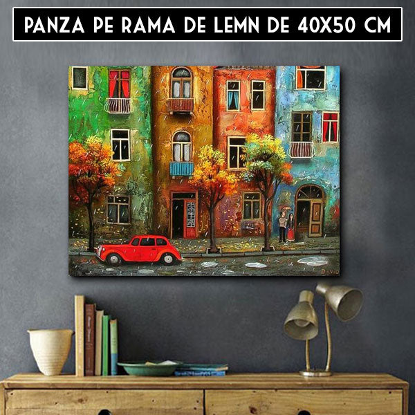 Kit pictura pe numere