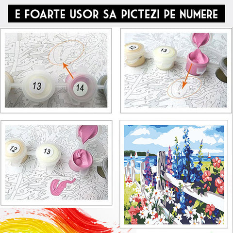 Set Pictura pe Numere -