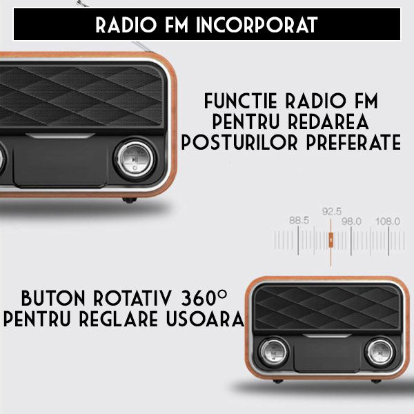 ceas cu radio fm