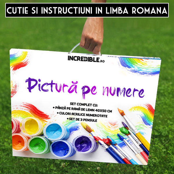 kit Pictura Pe Numere