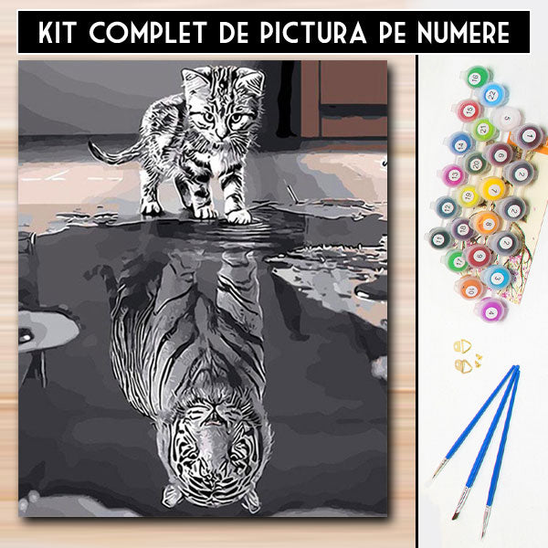 kit pictura pe numere crezi