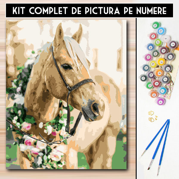 kit pictura