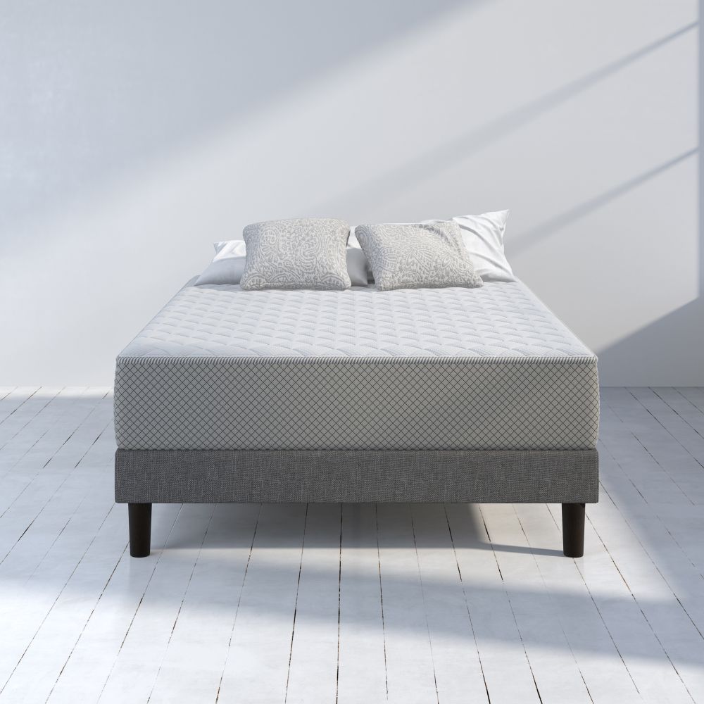 bed bug zippered mattress cover