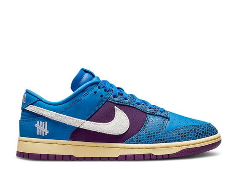 Nike hydro Dunk Low X Undefeated "5 ON IT" DH6508 400
