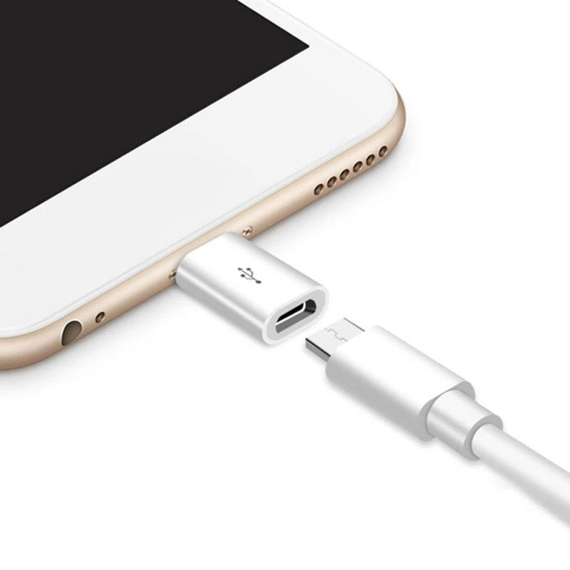 Lightning to micro usb converter