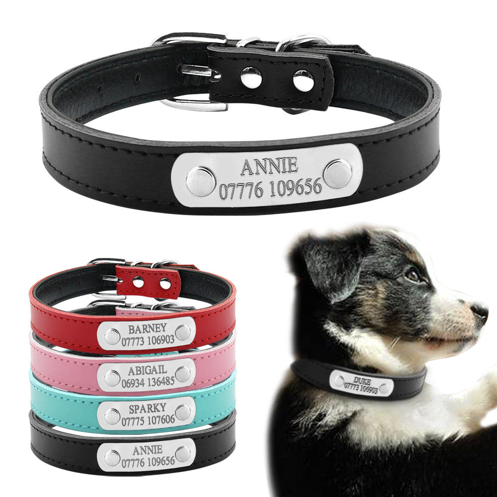 personalized leather dog collars