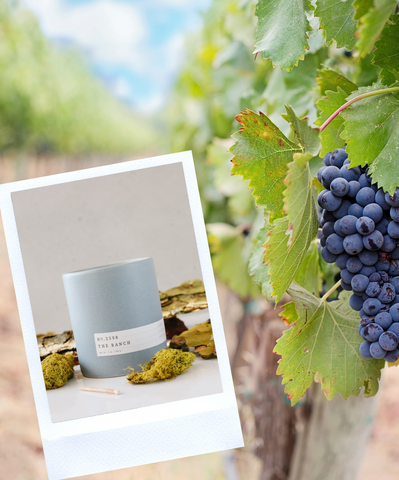 Vineyard Collection Scented Candle