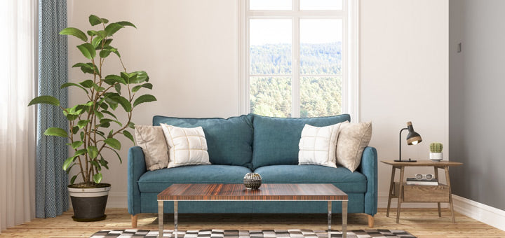 planta grande al lado de sofá azul