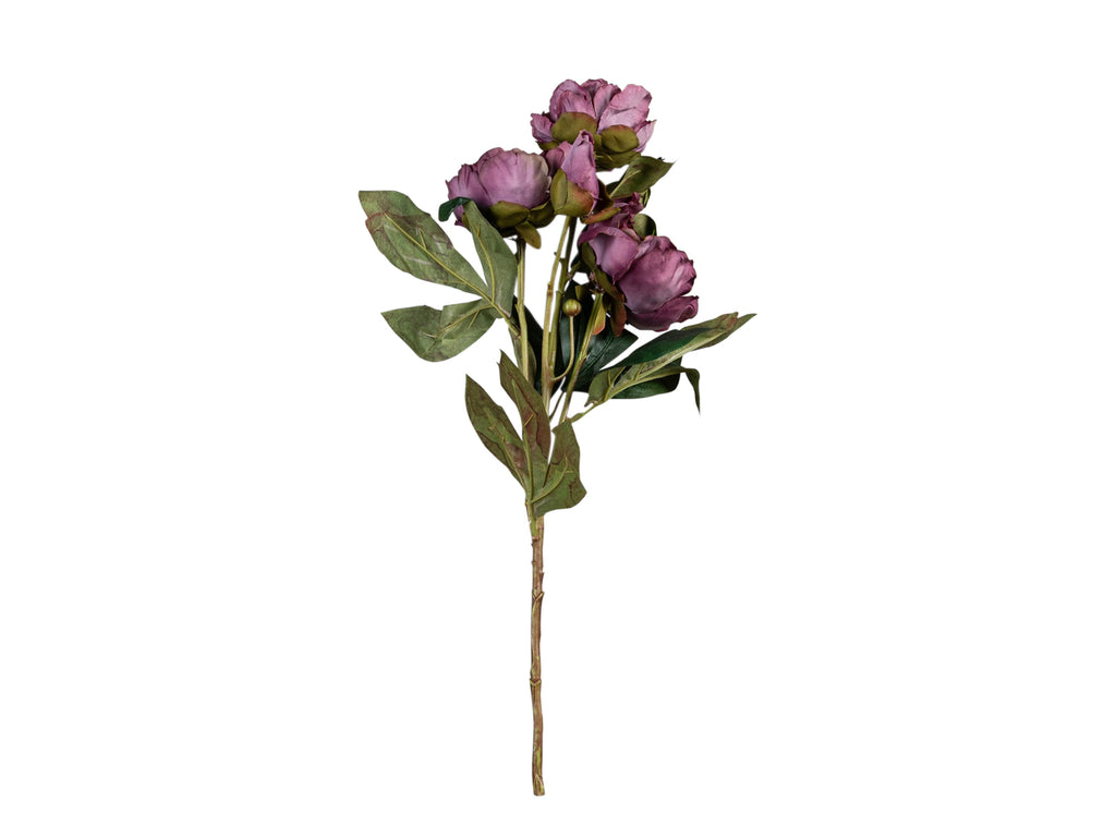 Arreglo Floral Peonia Decorativa C/Lila | Colineal Ecuador | SKU:  JUL8433840428550