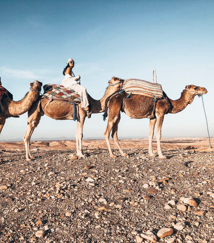 Ra'eesa riding camels in Morocco 