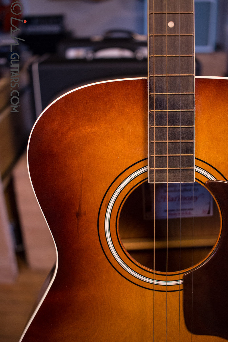 tenor guitar vintage