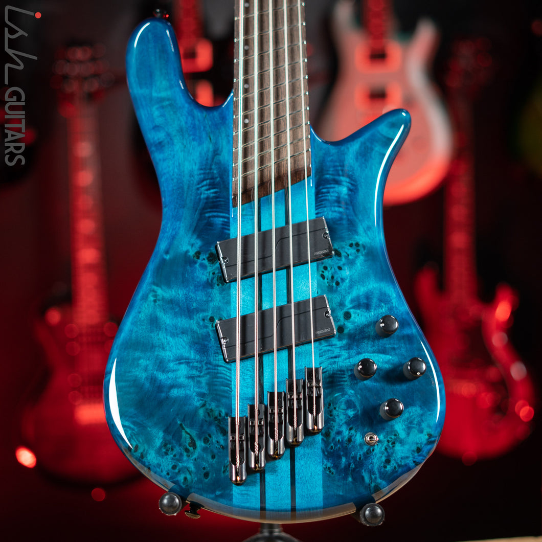 spector ns multiscale