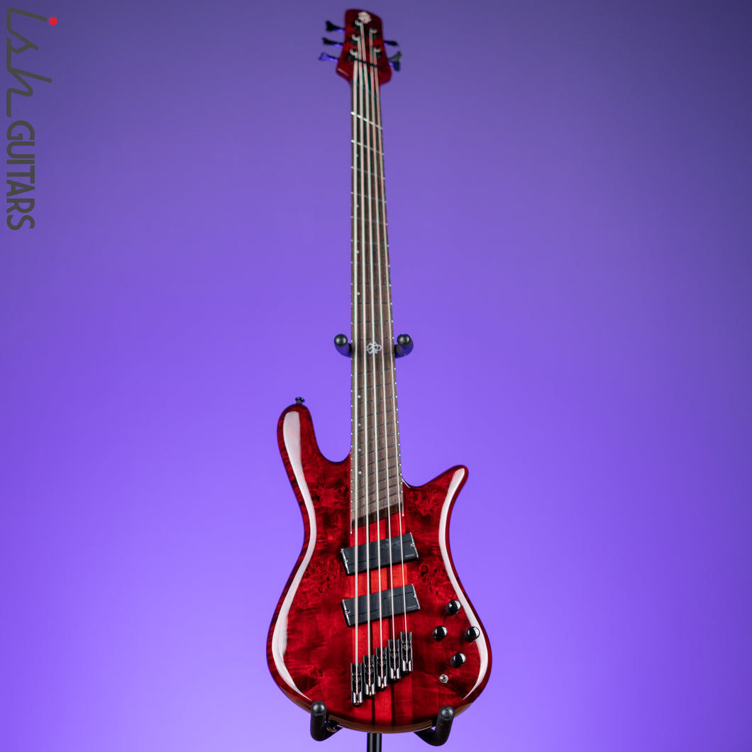 spector multiscale