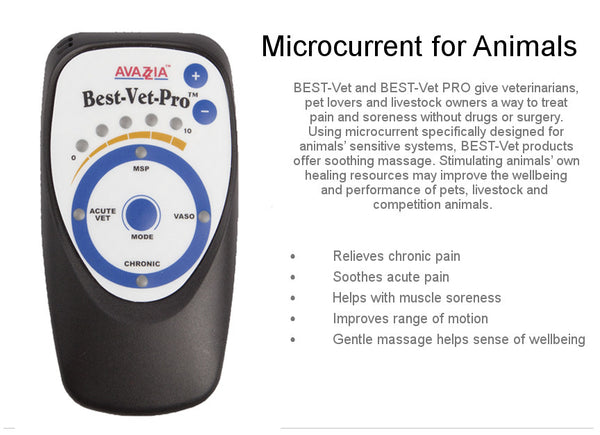 veterinary microcurrent devices