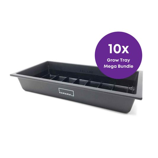 Small Humidi-Grow ™ Tray (HT-101)