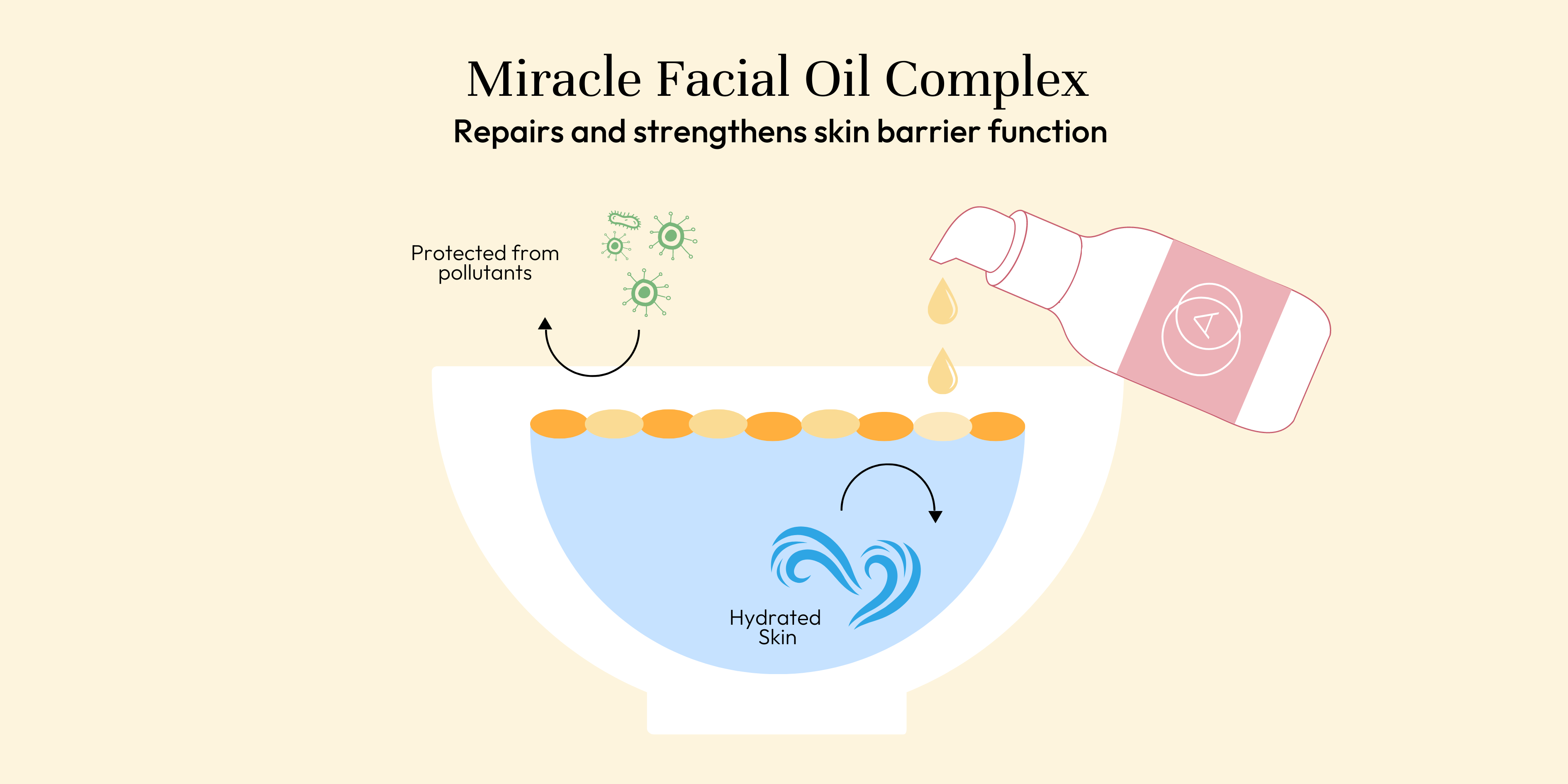 Diagram of how Miracle Facial Oil Complex works to repair an impaired skin barrier function