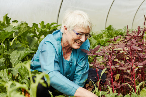 Mary Quicke greenhouse salad