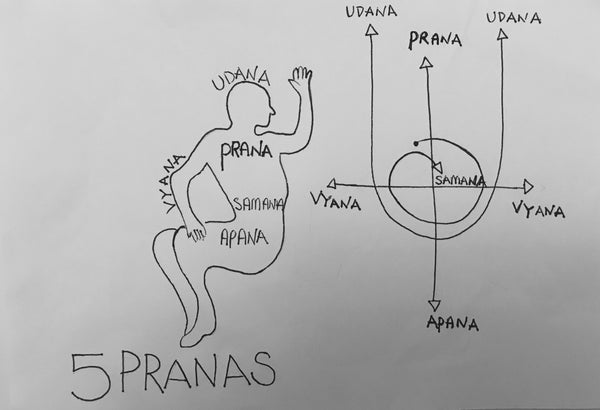 What is Prana