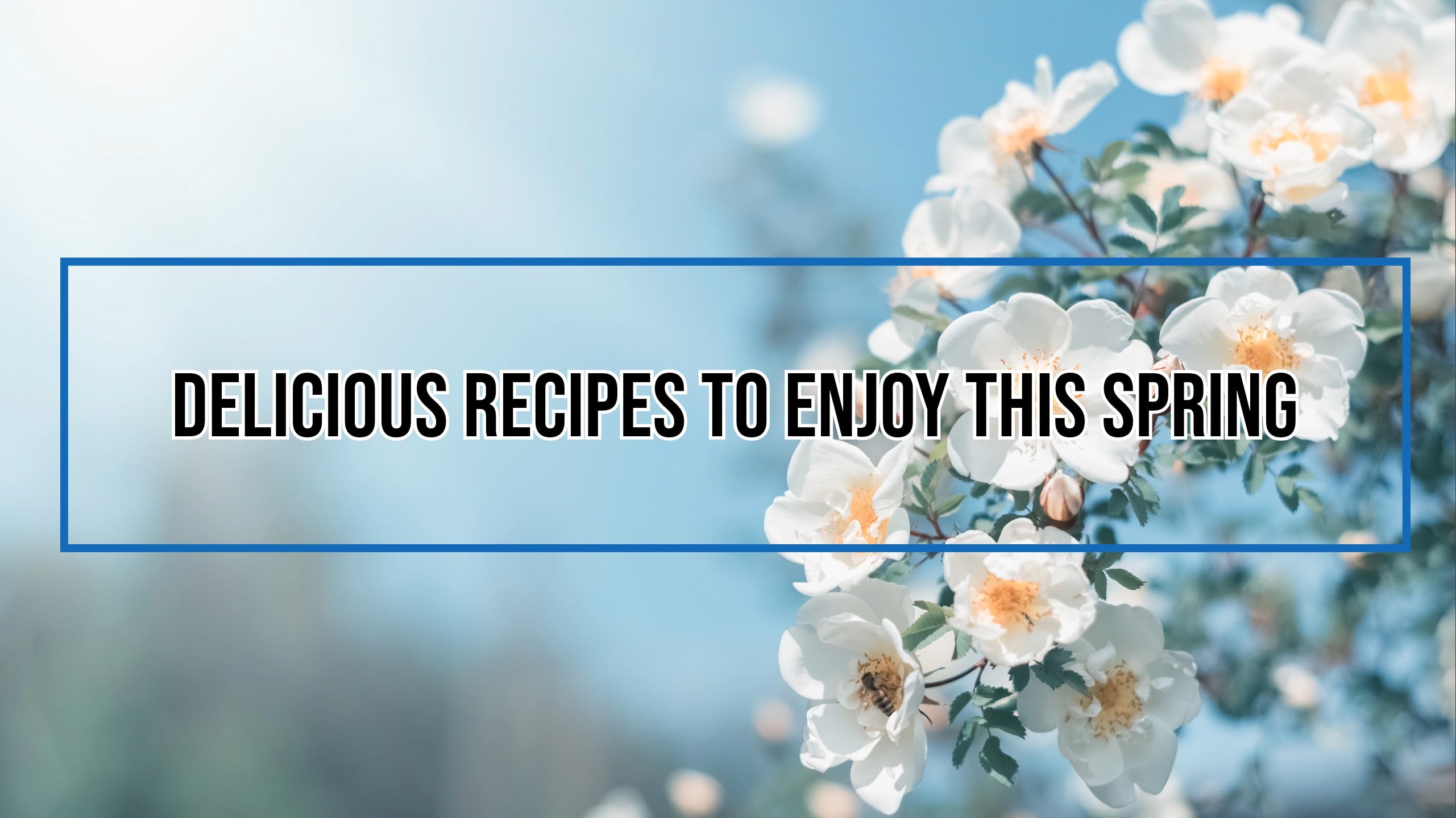 Delicious Recipes To Enjoy This Spring