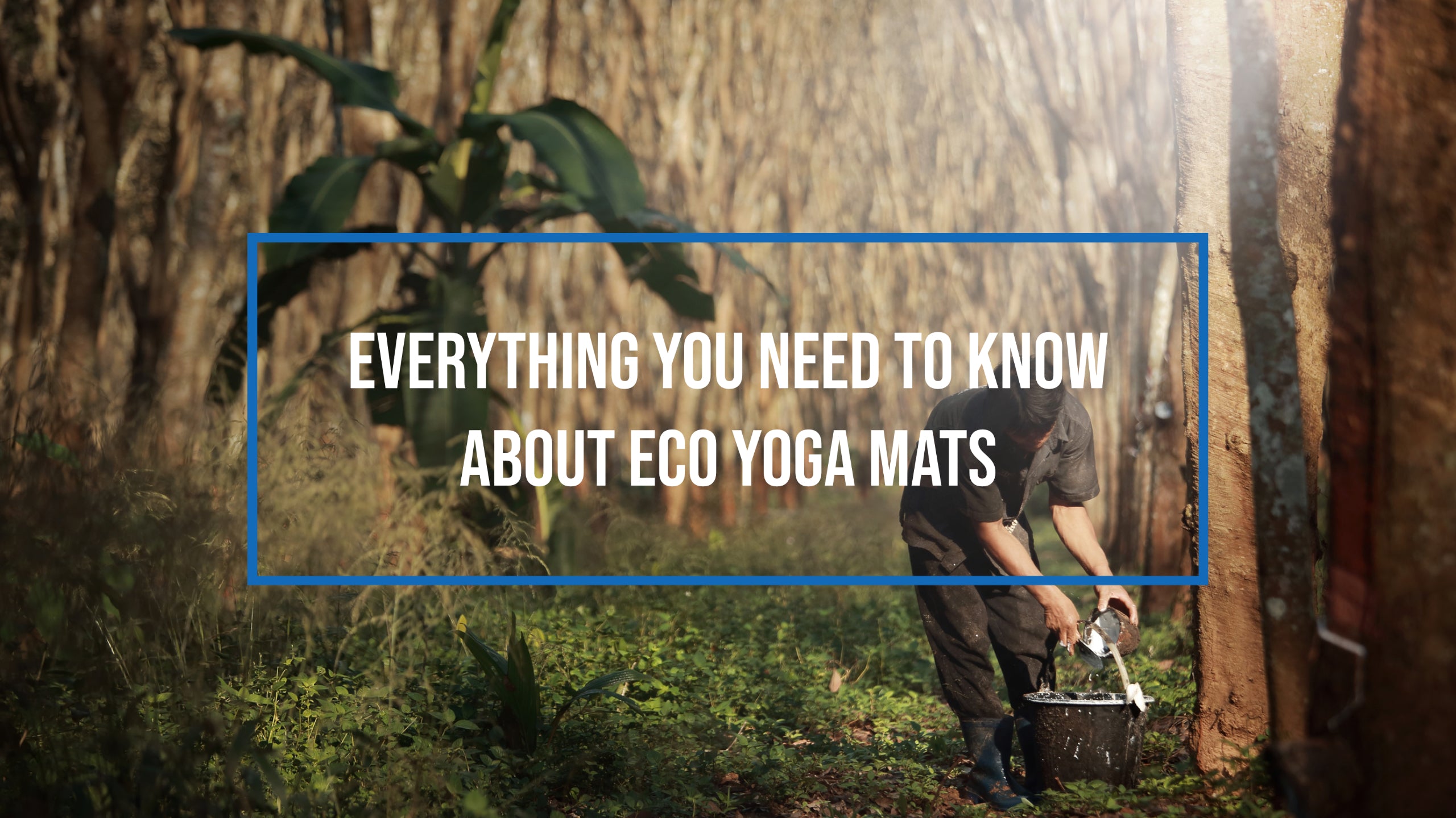 Everything You Need To Know About Eco Yoga Mats