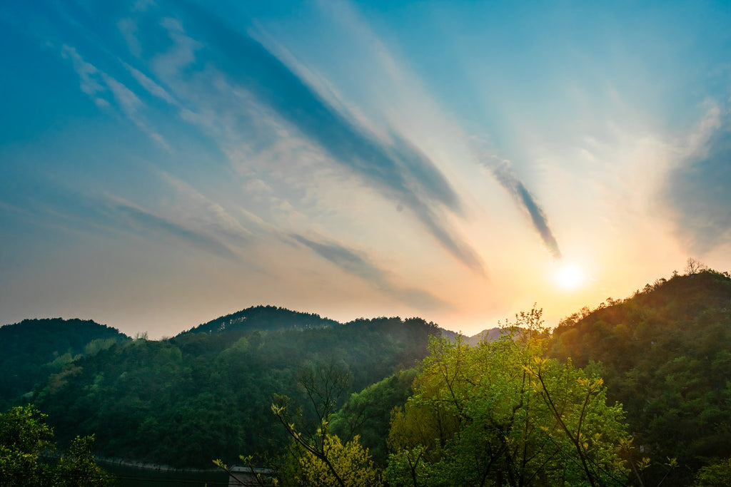 ONE simple step to improve your sleep and ultimately take your life to the next level - image of sunbeams shining over the green hills
