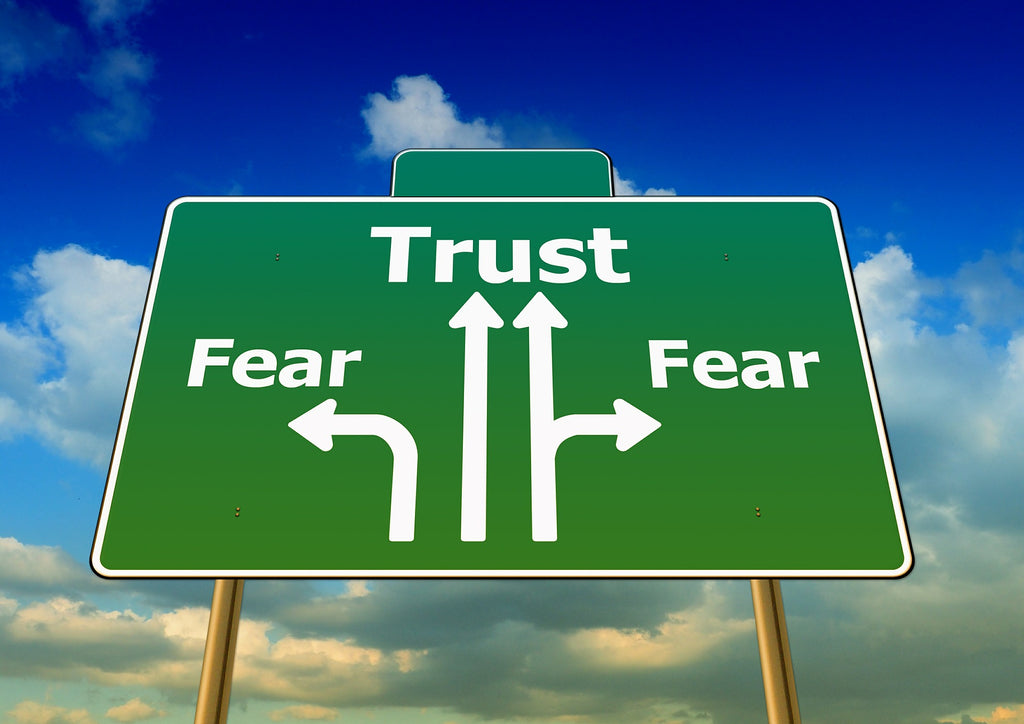 Fear is an experience, not an identity. gren signboard showing straight ahaed as trust and the divisions as fear..jpg