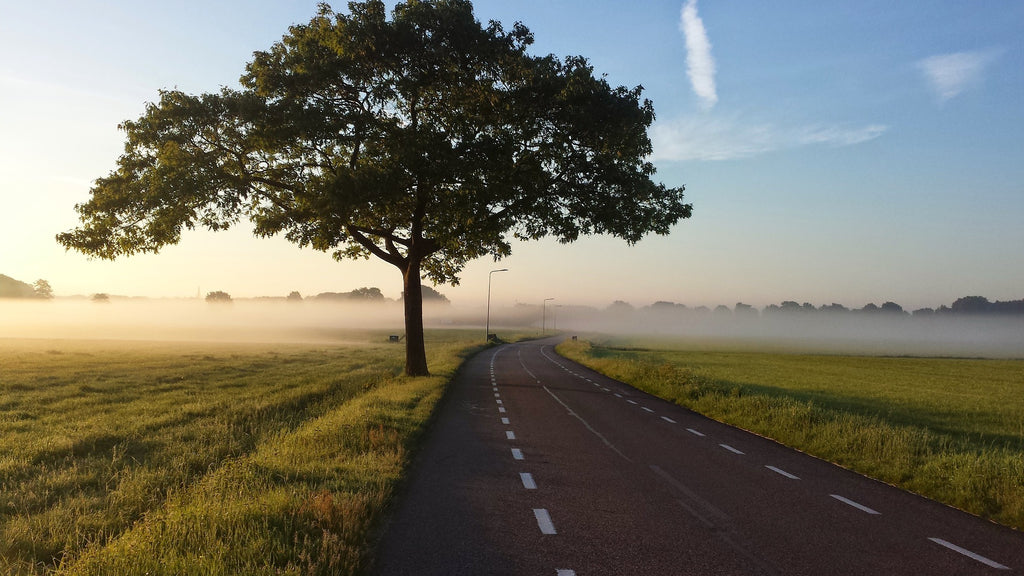 How To Relieve Stress and Anxiety - 4 Simple Steps. a road with rumble groves on the sides