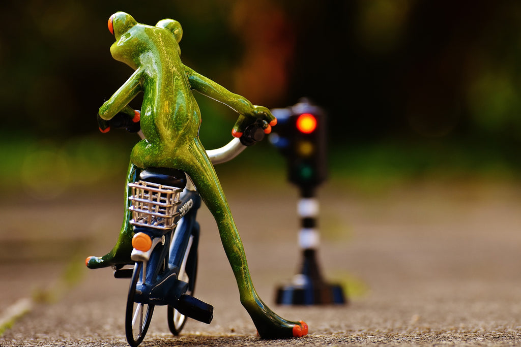 How To Relieve Stress and Anxiety - 4 Simple Steps. frog stopping for red light