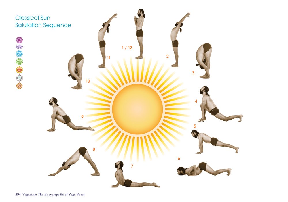 Sun Salutation Flow for Beginners (Free Yoga Class) - YouTube