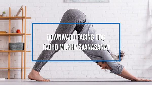 The Ultimate Beginner's Guide How to Start Yoga - Downward Facing Dog (Adho Mukha Svanasana)