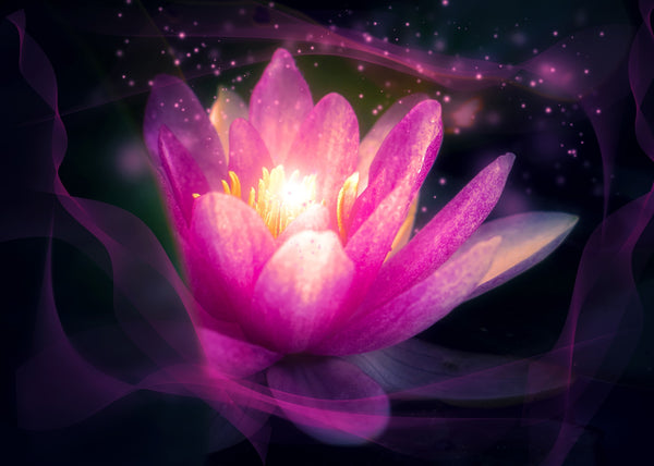 yoga, meditation, lotus flower
