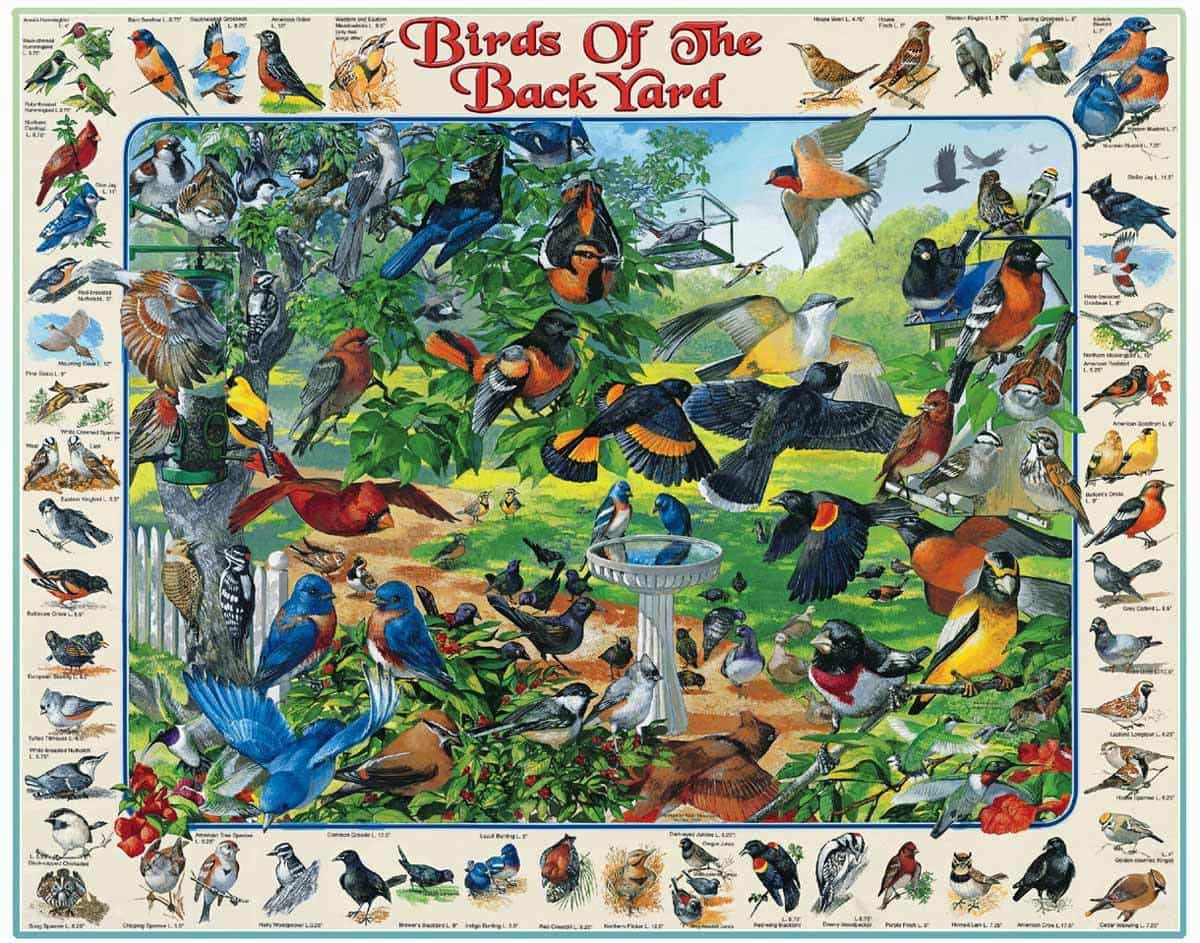 Birds in the Meadow, 🧩 Jigsaw Puzzle