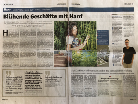 OÖNachrichten - Blühende Geschäfte mit Hanf (30.06.18)