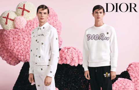 KAWS COLLABORATION DIOR FASHION ART