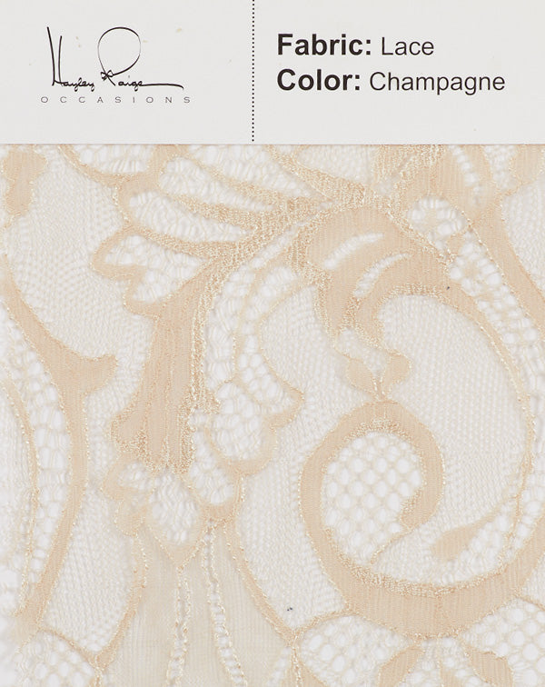 Corded Lace CHAMPAGNE