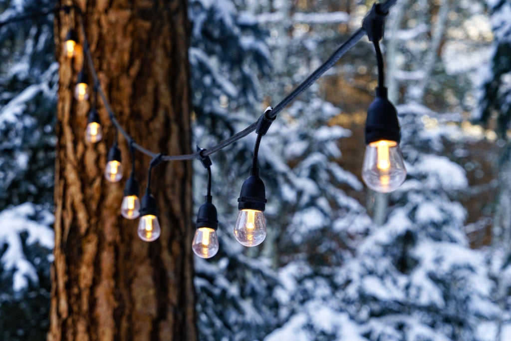 outdoor lighting in winter christmas time with snow on trees