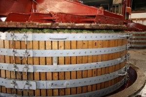 Traditional basket press loaded with grapes at champagne harvest time