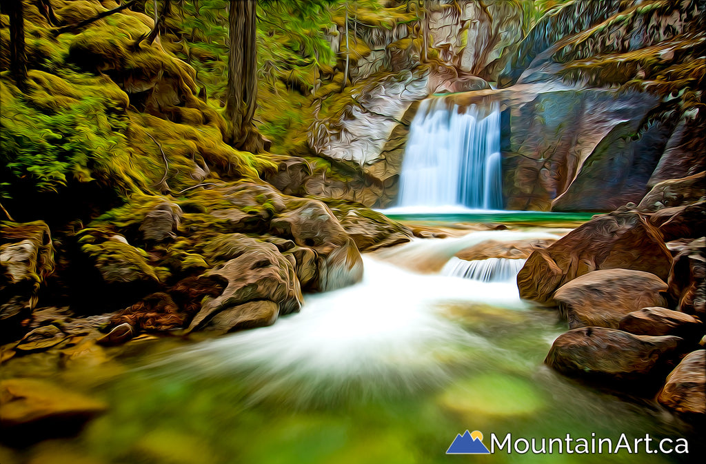 NEMO CREEK TRAIL - only where you have walked have you been