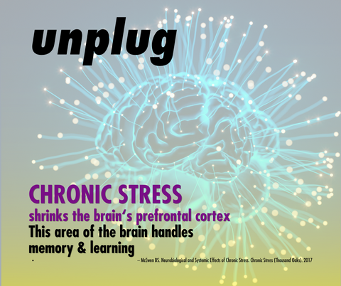 Unplug from stress for a healthier gut-brain axis.  Restorit can help!