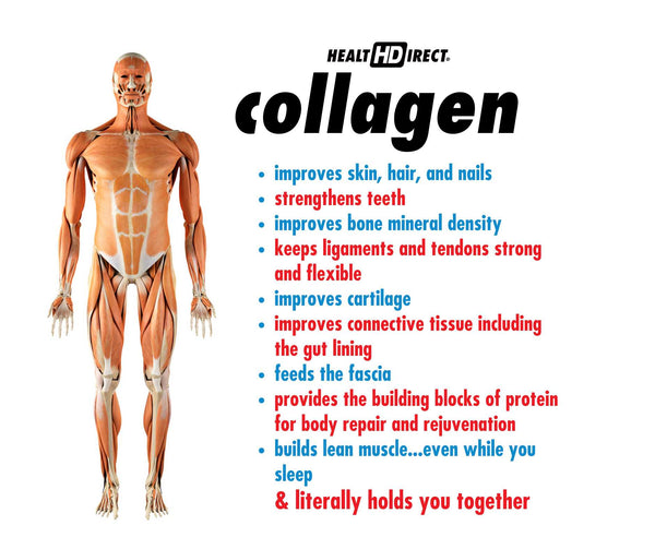 Health Direct USA | Collagen is the glue that holds everything together