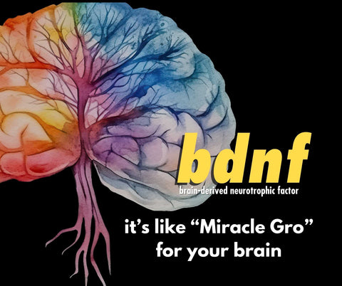 Health Direct | What is Brain-derived Neurotrophic Factor (BDNF)