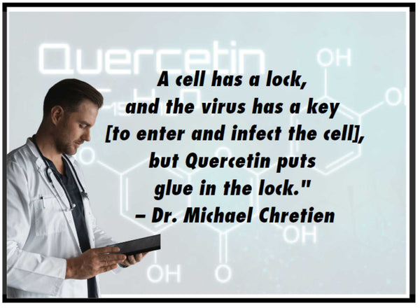 Scientists have discovered that Quercetin Phytosome is like super glue in the lock of a cell, preventing a virus from entering.